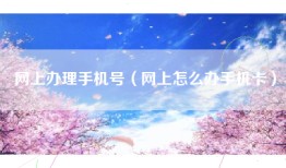 网上办理手机号（网上怎么办手机卡）