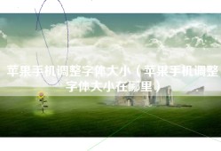 苹果手机调整字体大小（苹果手机调整字体大小在哪里）