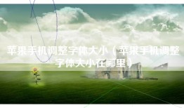 苹果手机调整字体大小（苹果手机调整字体大小在哪里）
