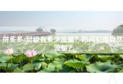 拼多多3层级有多少流量？如何引爆自然流量？