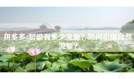 拼多多3层级有多少流量？如何引爆自然流量？
