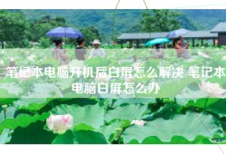 笔记本电脑开机后白屏怎么解决 笔记本电脑白屏怎么办