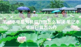 笔记本电脑开机后白屏怎么解决 笔记本电脑白屏怎么办