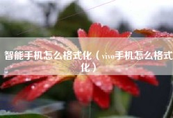 智能手机怎么格式化（vivo手机怎么格式化）