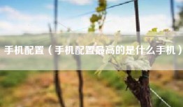 手机配置（手机配置最高的是什么手机）