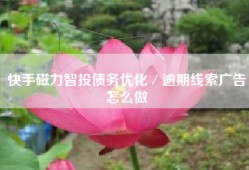 快手磁力智投债务优化／逾期线索广告怎么做