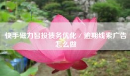 快手磁力智投债务优化／逾期线索广告怎么做