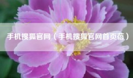 手机搜狐官网（手机搜狐官网首页蓓）