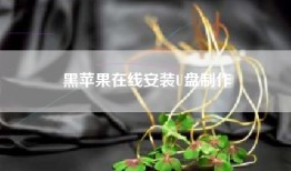 黑苹果在线安装U盘制作