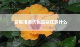 百度排名优化需要注意什么