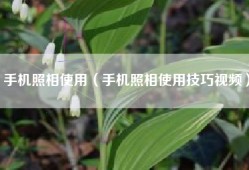 手机照相使用（手机照相使用技巧视频）