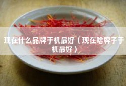 现在什么品牌手机最好（现在啥牌子手机最好）