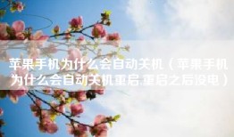苹果手机为什么会自动关机（苹果手机为什么会自动关机重启,重启之后没电）