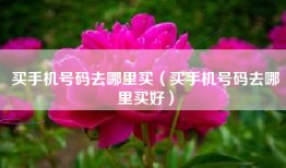 买手机号码去哪里买（买手机号码去哪里买好）