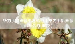 华为手机声音小怎么办（华为手机声音小怎么办 解决）