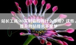 站长工具SEO实时监控有什么作用？这些，提升网站排名不是梦