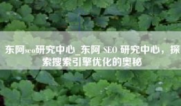 东阿seo研究中心_东阿 SEO 研究中心，探索搜索引擎优化的奥秘