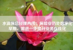 水滴保总经理冉伟：保险业仍处数字化早期，需进一步提升业务在线化