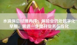 水滴保总经理冉伟：保险业仍处数字化早期，需进一步提升业务在线化