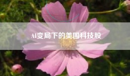 AI变局下的美国科技股