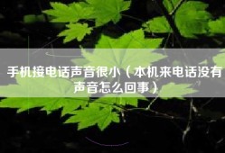 手机接电话声音很小（本机来电话没有声音怎么回事）