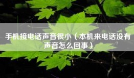 手机接电话声音很小（本机来电话没有声音怎么回事）