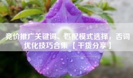 竞价推广关键词、匹配模式选择，否词优化技巧合集 【干货分享】