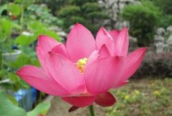 内蒙古五日游实用方案，吃、住、行、玩一站式服务