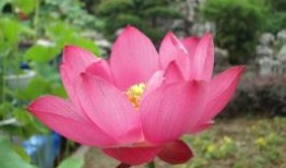 内蒙古五日游实用方案，吃、住、行、玩一站式服务