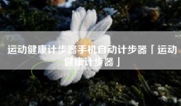 运动健康计步器手机自动计步器「运动健康计步器」