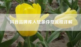抖音品牌库入驻条件及流程详解