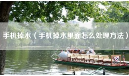 手机掉水（手机掉水里面怎么处理方法）