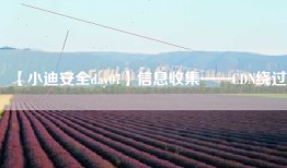 【小迪安全day07】信息收集——CDN绕过