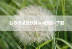 谷歌浏览器软件2020旧版本下载