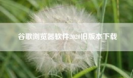 谷歌浏览器软件2020旧版本下载