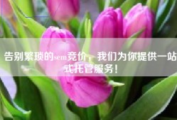 告别繁琐的sem竞价，我们为你提供一站式托管服务！