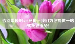 告别繁琐的sem竞价，我们为你提供一站式托管服务！