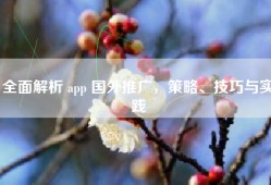 全面解析 app 国外推广，策略、技巧与实践