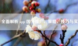 全面解析 app 国外推广，策略、技巧与实践