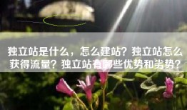 独立站是什么，怎么建站？独立站怎么获得流量？独立站有哪些优势和劣势？