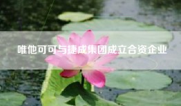 唯他可可与捷成集团成立合资企业