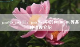 java405_java EE，java Web中的400,404,405等各种错误介绍