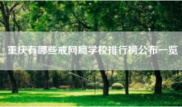 重庆有哪些戒网瘾学校排行榜公布一览