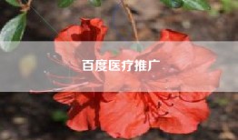 百度医疗推广