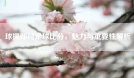 球探即时足球比分，魅力与重要性解析