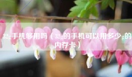 32g手机够用吗（32g的手机可以用多少g的内存卡）