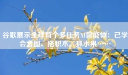 谷歌展示全球首个多任务AI智能体：已学会套圈、搭积木、抓水果……
