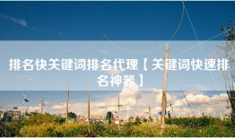排名快关键词排名代理【关键词快速排名神器】