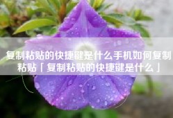 复制粘贴的快捷键是什么手机如何复制粘贴「复制粘贴的快捷键是什么」