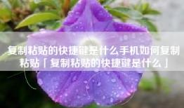 复制粘贴的快捷键是什么手机如何复制粘贴「复制粘贴的快捷键是什么」